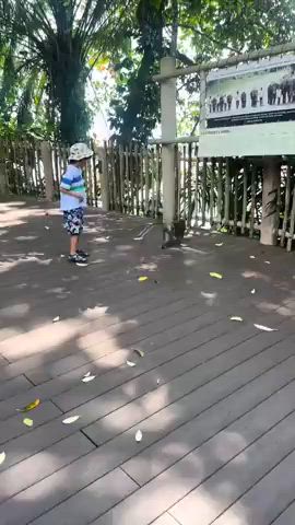 Man swings bag at monkey after it allegedly stole food, accidentally hits son