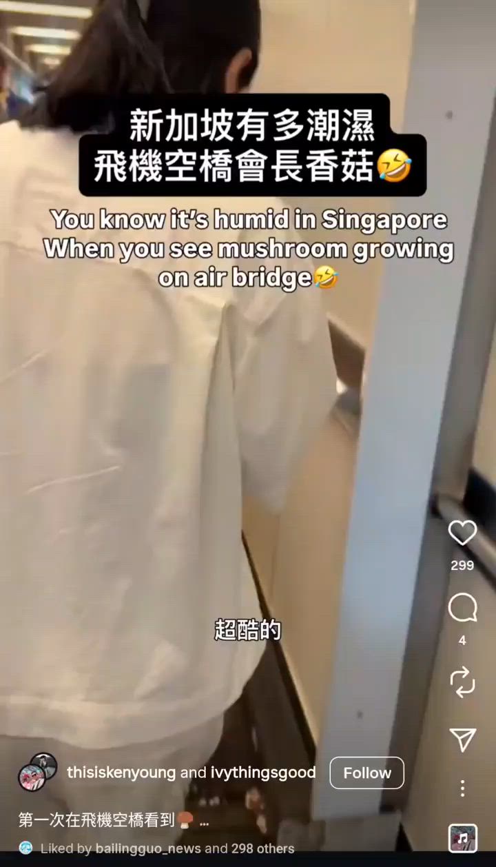 Taiwanese influencer, Ken Young, spotted mushrooms growing out of boarding bridge in Changi Airport